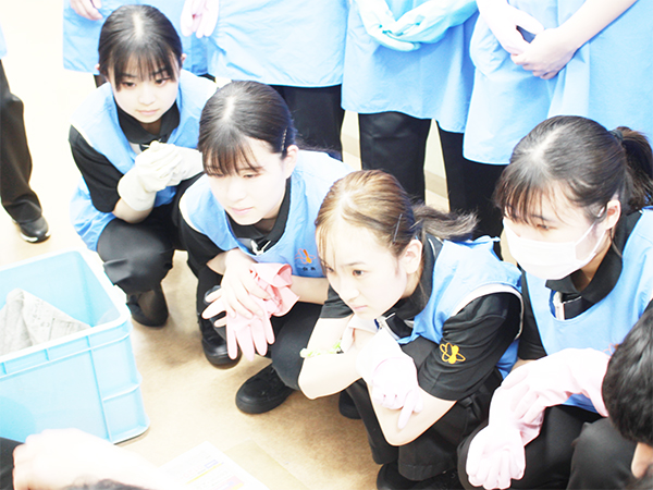 １年生出産に立ち会いました！